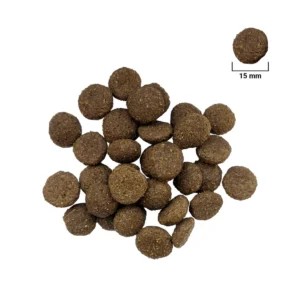 4 DOG MAXI ADULT 10 KG