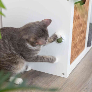 MINGE CATNIP CU SUPORT 5 CM