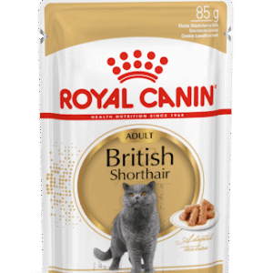 PLIC ROYAL CANIN BRITISH SHORTHAIR ADULT ÎN SOS 85 G