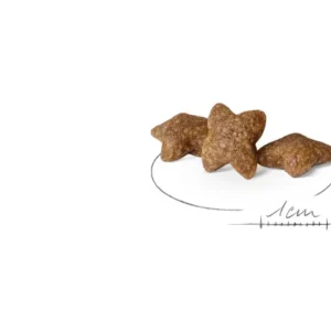 ROYAL CANIN MINI ADULT 8 KG