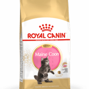 ROYAL CANIN MAINE COON KITTEN 10KG