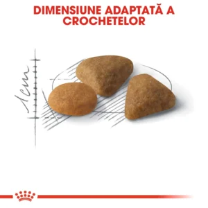 ROYAL CANIN SAVOUR EXIGENT 2 KG