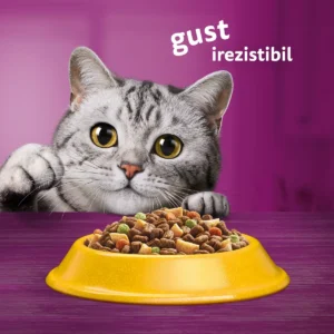 WHISKAS ADULT CU PUI 14 KG