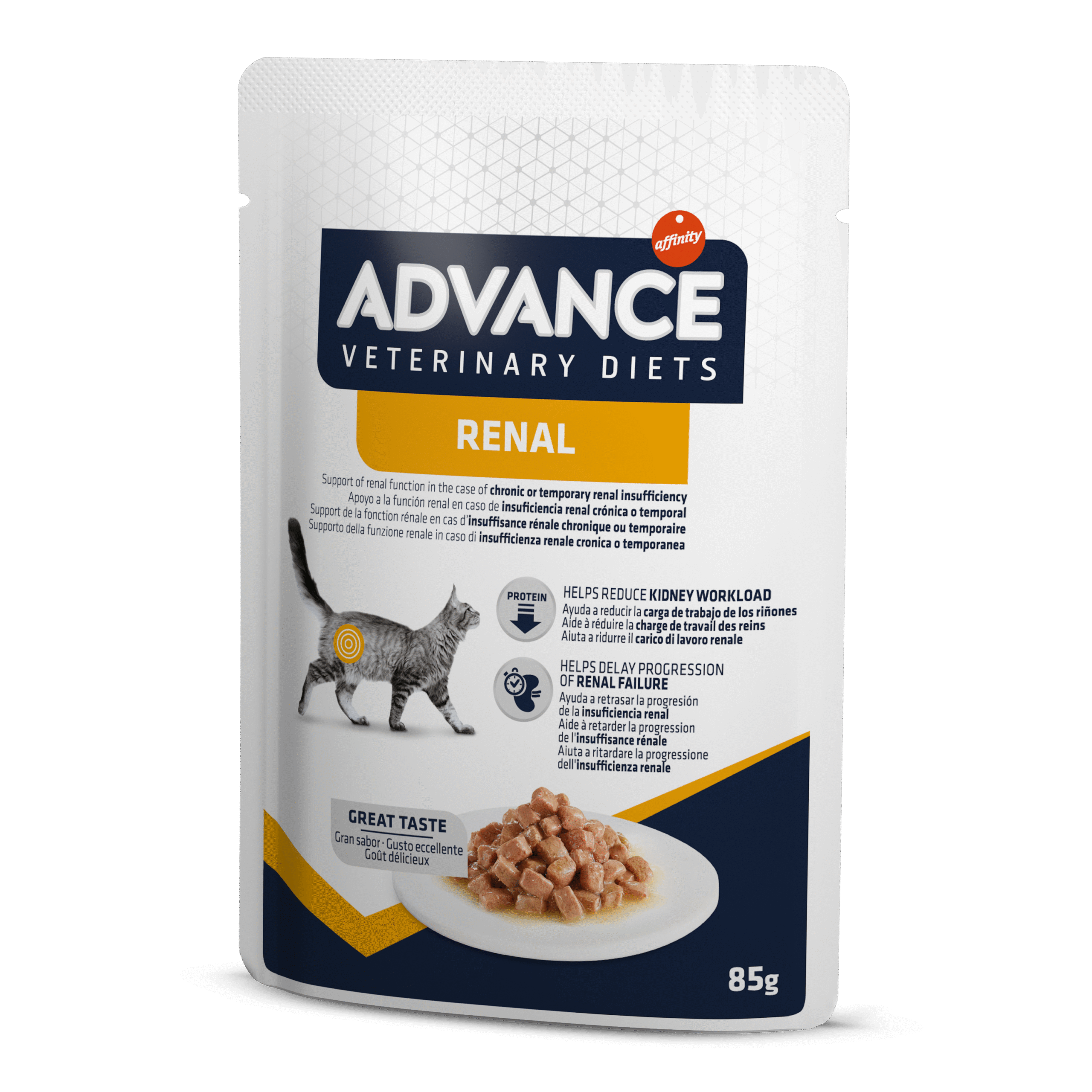 PLIC ADVANCE CAT RENAL 85 G
