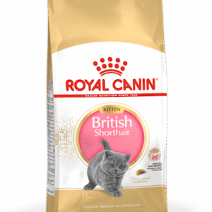 ROYAL CANIN BRITISH SHORTHAIR KITTEN 10 KG