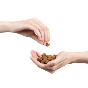 RECOMPENSE CAINI SEMI UMEDE CU MIEL MERA SNACK 150 G